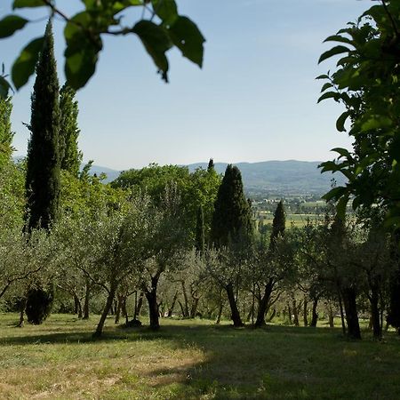 Villa Degli Ulivi 아시시 외부 사진