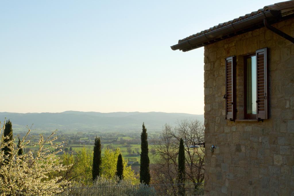 Villa Degli Ulivi 아시시 외부 사진