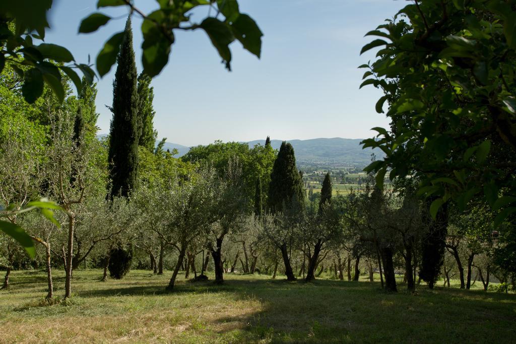 Villa Degli Ulivi 아시시 외부 사진